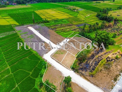 KAVLING TANAH PANTAI KEDUNGU TANAH LOT VIEW SAWAH DAN GUNUNG