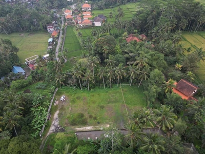 Land With Jungle And Small River View In Abangan Ubud