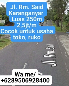 Pekarangan pinggir jalan raya matesih - Karanganyar