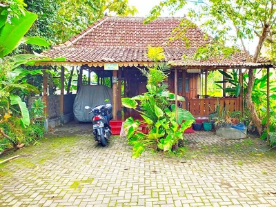 Rumah 1000 Meter Jalan Bantul Yogyakarta