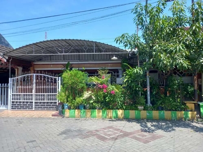 Rumah 1lt siap huni Rungkut