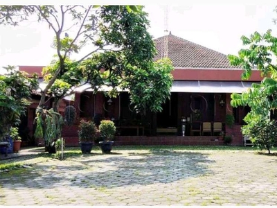 Rumah Jawa Tanah luas 2000 jalan parang tritis bantul