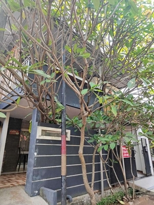 Rumah kos sangat terawat dan rapi di Jl. Puyuh Sektor 5 Bintaro Jaya.