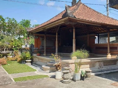 Rumah Murah nuansa Bali lokasi pinggir jl Raya Perean Tabanan