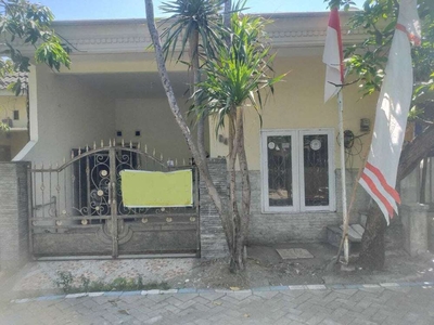 Rumah Viral Murah Strategis di Sidoarjo