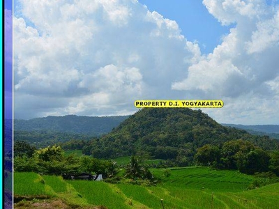 SHM P Tanah Cocok Villa View Sawah Menoreh Dekat Kopi Ampirono