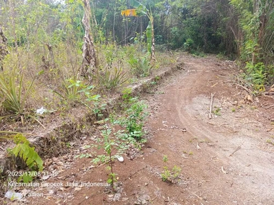 Tanah belakang RSUD propinsi banten