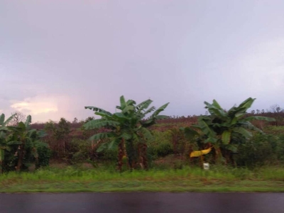 Tanah di jaln tanjung api api - sumatra selatan