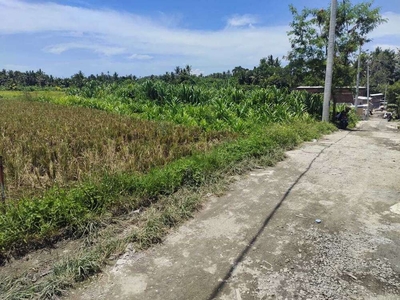 Tanah di tumbak bayuh pererenan badung