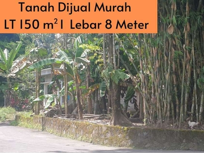 Tanah Dijual Murah di Mlati Sleman: 150 m2 Lebar 8 Meter