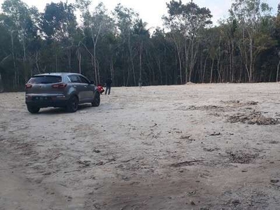 Tanah Jogja Dekat Polres Kulon Progo,Siap AJB Notaris Lingkungan Sejuk