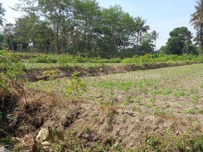 Tanah Jogja Murah Sleman Timur Kampus Uii Cocok Untuk Investasi