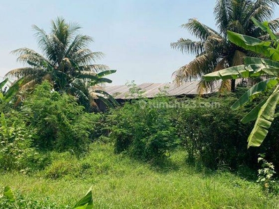 Tanah Kavling Ciomas, 14 Menit Mall Btm Bogor Siap Akad