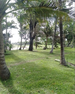 Tanah Kavling di pantai berawa canggu badung