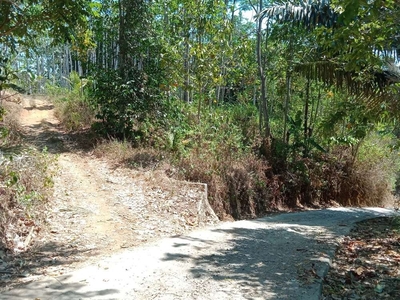 Tanah Kebun Rancakalong, Sumedang, Kabupaten Bandung