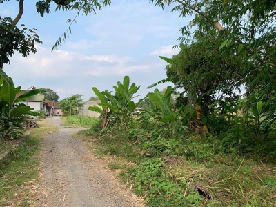 Tanah Klaten Hanya 1 juta-an Dekat Exit Tol Manisrenggo,SHM