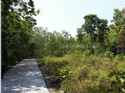 Tanah Murah di Kulon Progo Dekat Panti Rapih