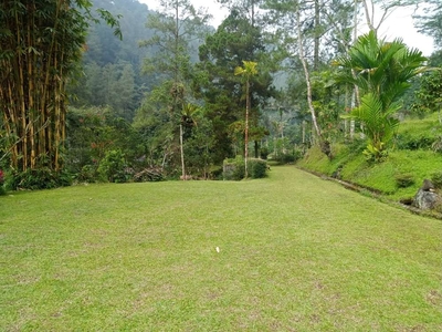 Tanah murah di puncak cibedug tapos