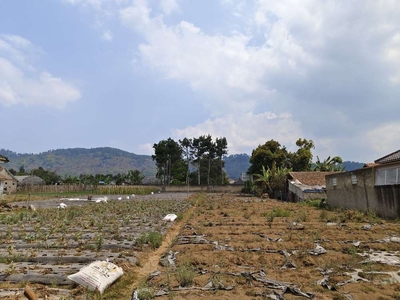 Tanah Murah Nego Cocok Untuk Investasi di Cibodas Maribaya Lembang