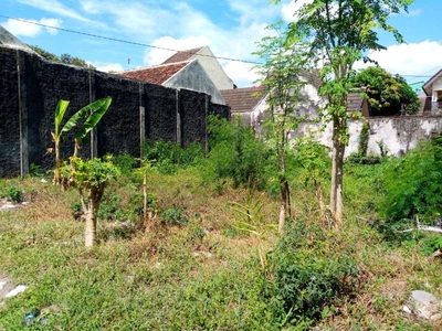 Tanah Murah Strategis Di Belakang Indomaret Jalan Bugisan Yogyakarta