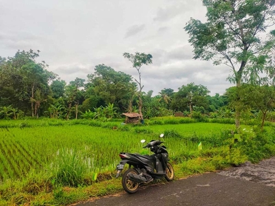 Tanah Palagan 1500 Belakangya Sungai Cocok Buat Villa Alam