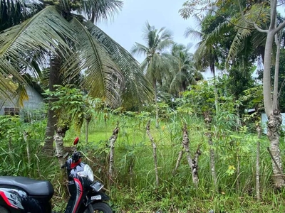 Tanah pango kecamatan ulekareng kota madya banda Aceh