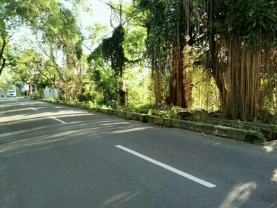 Tanah Pekarangan Cocok Untuk Hotel Jalan Laksda Adisucipto