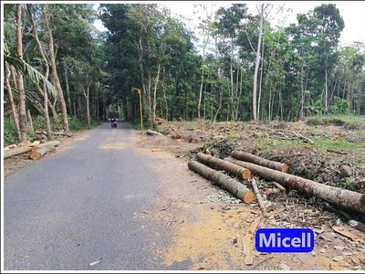 Tanah Pekarangan Dekat Exit Tol Manisrenggo, SHM