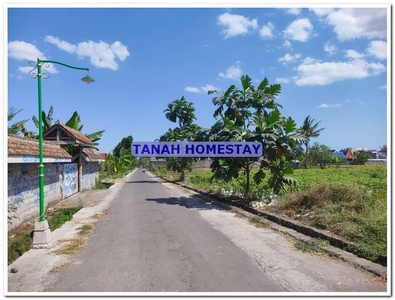 Tanah Pekarangan Utara Jl Damai, Lingkungan Homestay