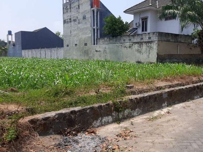 TANAH SAWAH TIMUR KAMPUS RESPATI 2 JL TAJEM COCOK UNTUK HUNIAN.JK11336