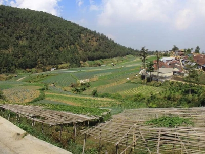 TANAH TAWANGMANGU PEMANDANGAN JUARA 1