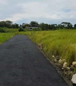 Tanah View Sawah Dan Laut Di Pererenan Badung Bali