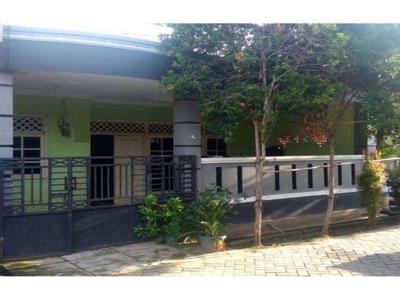 Rumah Jl.Jayanegara Raya-Cibodas,Hoek (Ukuran 105/108 m2)