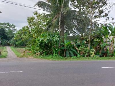 Tanah nempel jalan raya