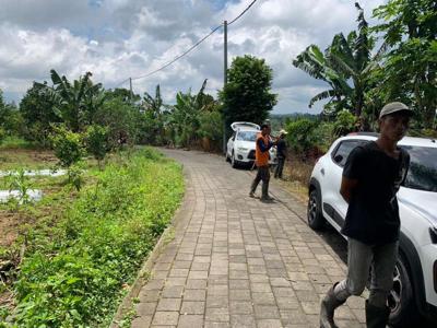 Tanah Pekebunan Jeruk Semanik Pelaga