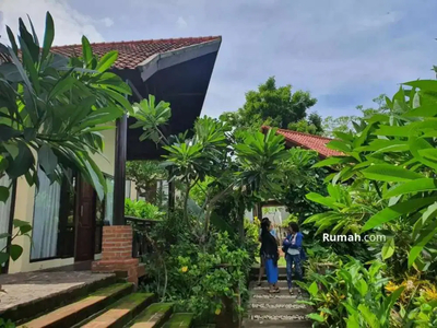 Dijual Rugi 12 unit Villa Lovina Eco at Buleleng Bali