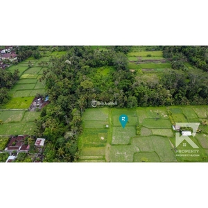 Dijual Tanah Hak Milik Luas 20 Are dengan Pemandangan Sawah di Pejeng Bali - Gianyar
