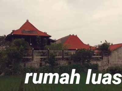 JUAL RUMAH ETNIK WLINGI BLITAR