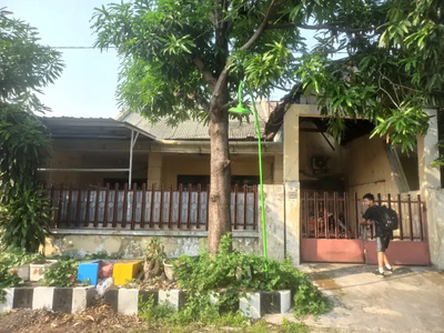 Rumah daerah rungkut harapan luas 10x20 di jual