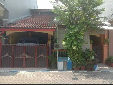 Rumah WISMA TROPODO 7x12 Murah Selt Surabaya Dkt Rungkut Pondok Candra