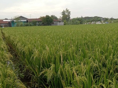 Sebidang Tanah dengan Luas 792 m2