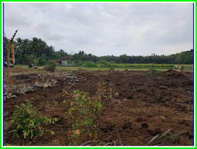 Tanah Bojong Kulon Progo Dekat Pasar Jombokan