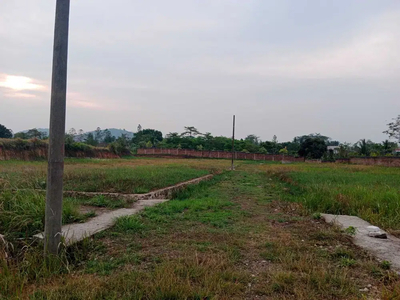 Tanah Kavling Sepang ( Lingkungan Asri dan sejuk )