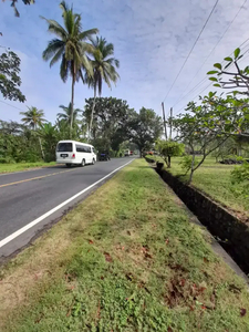 Tanah Los Pantai Akses pinggir jalan provinsi Denpasar Gilimanuk