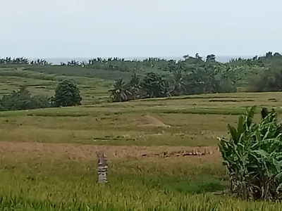 Tanah Zona Pariwisata (Pink Zone) dekat Soori Kelating Bali