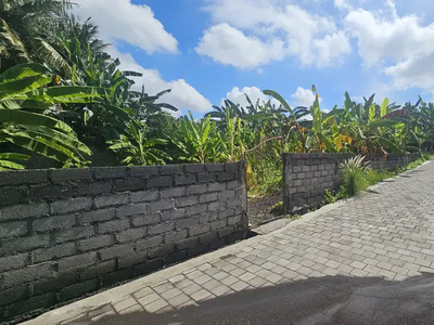 Dijual tanah komersil lingjungan villa berawa canggu