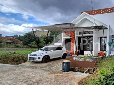 Disewakan Rumah Lokasi Strastegis di Jalan Nusa Indah Rp40 Juta/tahun | Pinhome