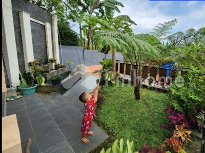 Disewakan Rumah Luas Komplit Ciawi di Ciawi Rp3,5 Juta/bulan | Pinhome