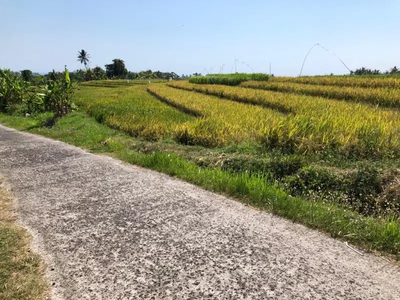 jual tanah sawah luas 1,5ha harga 100jt/are Soka selbar