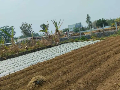 Tanah Cocok Untuk Kost 600JT AN Kota Malang